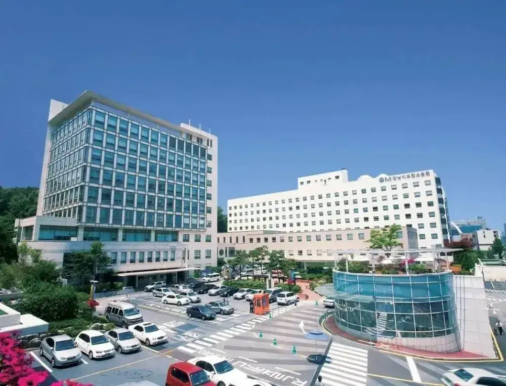 Yonsei University College of Medicine Severance Hospital view